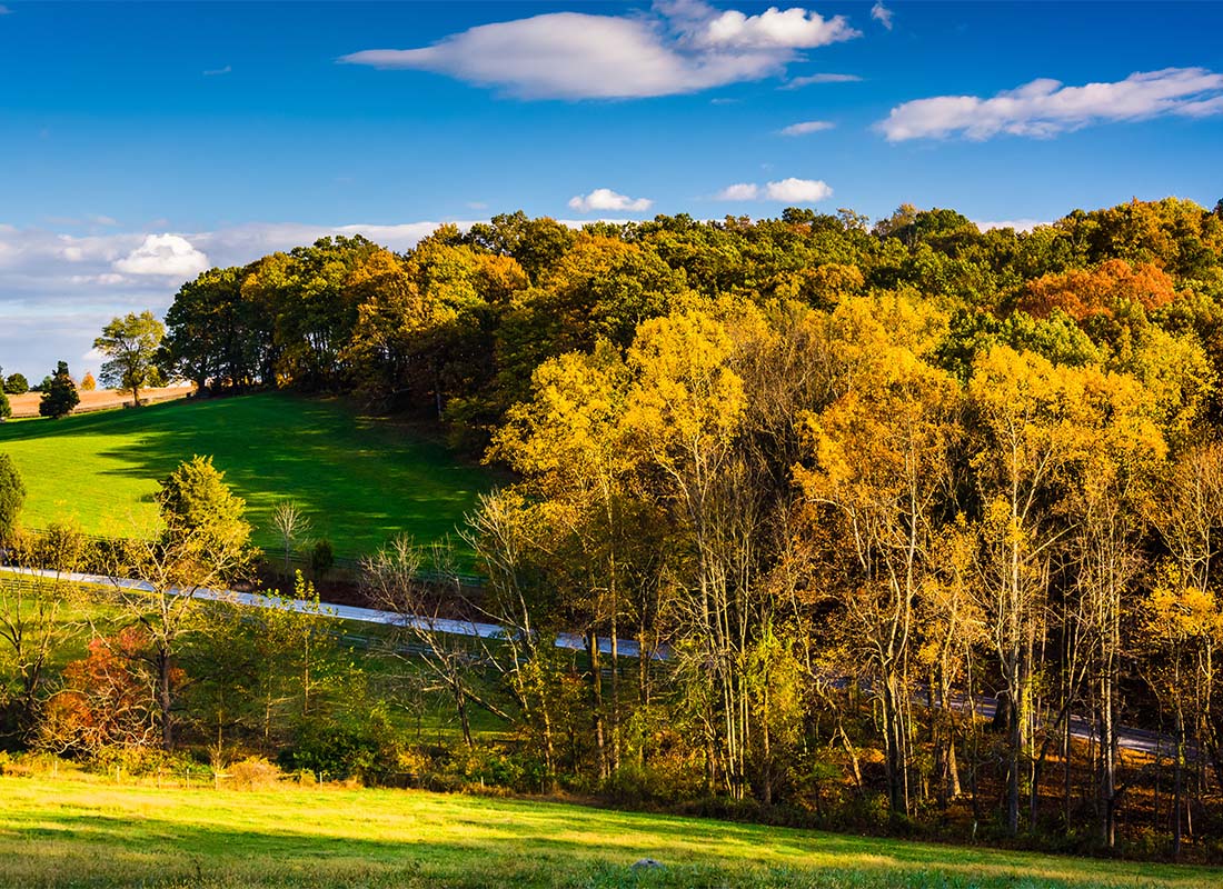 Lewisberry, PA - Scenic View of Colorful Fall Trees on a Sunny Day in the Countryside in Lewisberry Pennsylvania